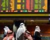 اقتصاد الإمارات| بورصة أبوظبي تعتمد خطة لدعم شركات الوساطة المالية بـ 20 مليون درهم