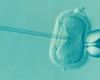 اكتشاف مرحلة "غامضة" لدى الجنين البشري... علماء: دراسة "تغير التاريخ"