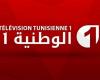 تردد قناة الوطنية التونسية الرياضية 1 الناقلة لمباراة الزمالك والترجي التونسي في نهائي البطولة العربية لكرة اليد