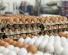 هل انخفضت أسعار البيض في المحال التجارية بعد تراجعها بالمزارع؟الإثنين 29/أبريل/2024 - 03:00 م
أسعار البيض في الأسواق، سجلت أسعار البيض انخفاضات ملحوظة في المزارع أي سعر الجملة، لتتراجع سعر كرتونة البيض الأحمر أو الأبيض إلى 115 جنيهًا في المزرعة.