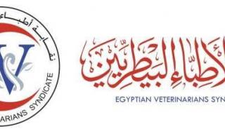 نقابة
      البيطريين
      بالغربية
      تكسر
      الصمت:
      موقف
      حاسم
      في
      واقعة
      كلب
      الهاسكياليوم
      الأربعاء،
      23
      أبريل
      2025
      07:48
      مـ
       
      منذ
      33
      دقيقة