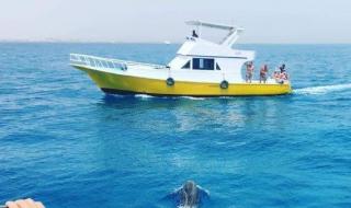 استئناف
      رحلات
      الغوص
      والأنشطة
      البحرية
      بالغردقة
      بعد
      تحسن