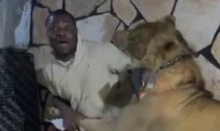 أسد
      يهاجم
      عمال
      مزرعة
      فى
      ليبيا..
      وسلطات
      طرابلس
      تحقق
      فى
      الواقعة..
      فيديو