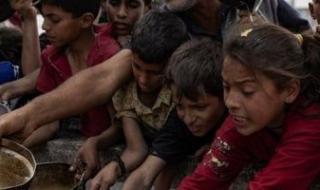 الصحة
      الفلسطينية:
      قطاع
      غزة
      يمر
      بحالة
      مجاعة
      فعلية
      يفرضه
      الاحتلال
      الإسرائيلى