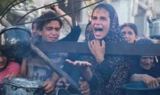 35
      شهيدا
      جراء
      استهداف
      الاحتلال
      منتظرى
      المساعدات
      فى
      محور
      زيكيم
      شمال
      غزة