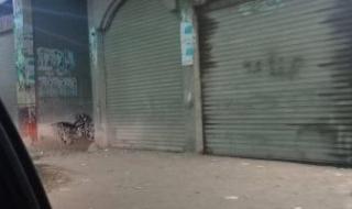 المواعيد
      الشتوية
      لفتح
      وغلق
      المحال
      العامة
      فى
      الجيزة
      تبدأ
      اليوم