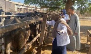 حملات
      تطعيم..
      هكذا
      تحارب
      الدولة
      حمى
      الوادى
      المتصدع
      لحماية
      الثروة
      الحيوانية