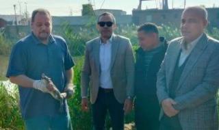 وزارة
      البيئة
      تبحث
      إعادة
      تمساح
      مصرف
      الزوامل
      إلى
      بيئته
      الطبيعية
      فى
      بحيرة
      ناصر