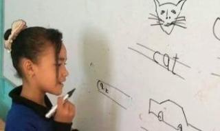 انتهاء
      التيرم
      الأول
      لهؤلاء
      الطلاب
      الثلاثاء
      المقبل..
      اعرف
      التفاصيل