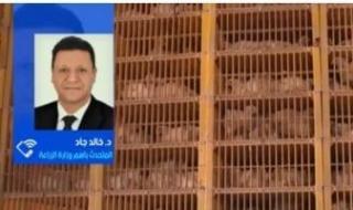 متحدث
      الزراعة:
      مصر
      تمتلك
      اكتفاء
      ذاتيا
      من
      الدواجن
      والأسعار
      ستشهد
      استقرارا