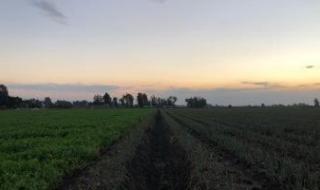 موجة
      التقلبات
      الجوية
      تضرب
      المحاصيل
      ورئيس
      مركز
      المناخ
      يضع
      خطة
      لإنقاذ
      الموسم