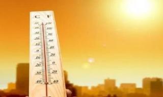 حالة
      الطقس
      اليوم
      الأحد
      10
      مايو
      2026..
      ارتفاع
      جديد
      بدرجات
      الحرارة
      وشبورة
      ورياح