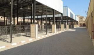 ​وداعاً
      للعشوائية..
      سوق
      حضارى
      متكامل
      وموقف
      ذكى
      للنقل
      العام
      فى
      الأميرية