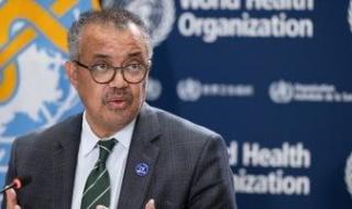الصحة
      العالمية:
      تفشى
      إيبولا
      فى
      الكونغو
      مرتفع
      جدا..
      وإصابة
      750
      ووفاة
      177