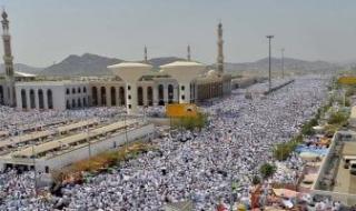 قلوب
      حامدة
      في
      أطهر
      البقاع..
      بعثة
      الحج
      تؤكد:
      حجاجنا
      بخير
      فوق
      صعيد
      عرفات