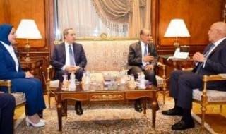 وزير
      الخارجية
      يلتقي
      رئيس
      مجلس
      النواب