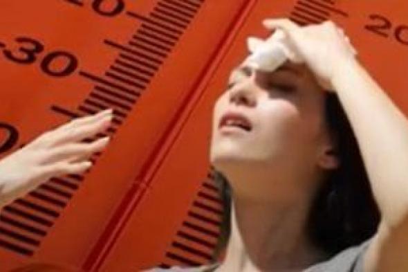الطقس
      غدا..
      ذروة
      الموجة
      شديدة
      الحرارة
      والعظمى
      بالقاهرة
      40
      درجة