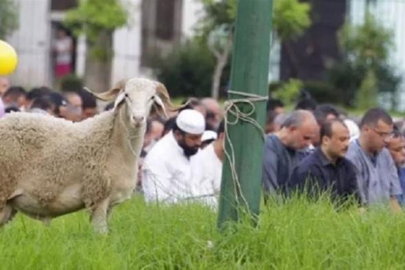 البحوث
      الفلكية
      يكشف
      "أول
      أيام
      عيد
      الأضحى"