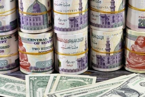 لأول
      مرَّة
      مُنذ
      عدة
      أشهر..
      الدولار
      يتراجع
      لـ"أقل
      من
      50
      جنيهًا"