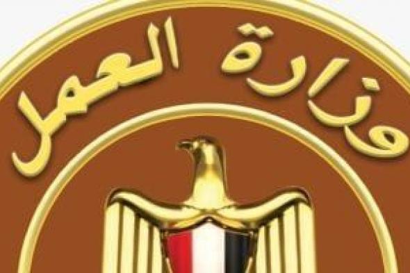 وزارة
      العمل
      تعلن
      عن
      فرص
      عمل
      بمرتبات
      تصل
      إلى
      15
      ألف
      جنيه..
      تفاصيل