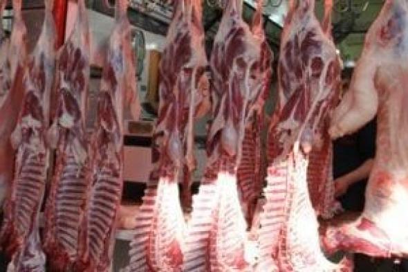 تخفيضات
      على
      اللحوم
      والدواجن
      فى
      معرض
      أهلاً
      مدارس
      2025
      بالجيزة