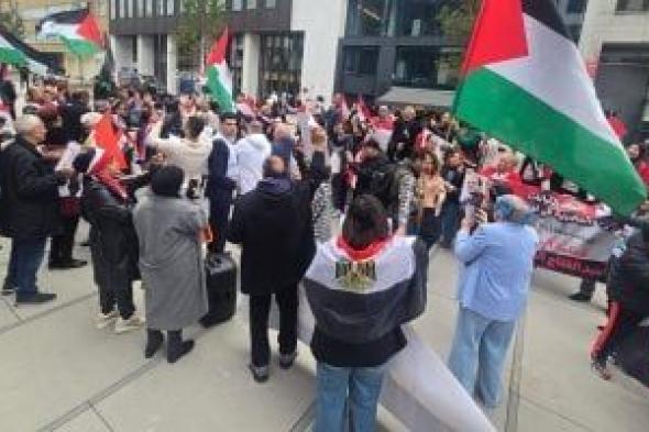 الجالية
      المصرية
      والفلسطينية
      تخرج
      لدعم
      الرئيس
      السيسى
      فى
      قلب
      بروكسل..
      فيديو