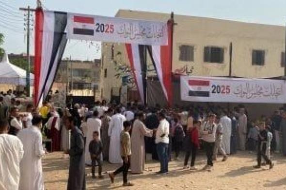 الفرز
      تحت
      المراقبة..
      إجراءات
      دقيقة
      لضمان
      شفافية
      الانتخابات