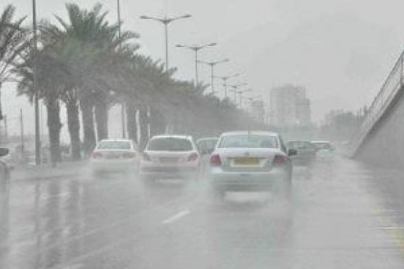 غلق
      الطريق
      الصحراوى
      من
      بوابات
      الإسكندرية
      لوجود
      شبورة
      مائية
      تعيق
      الرؤية