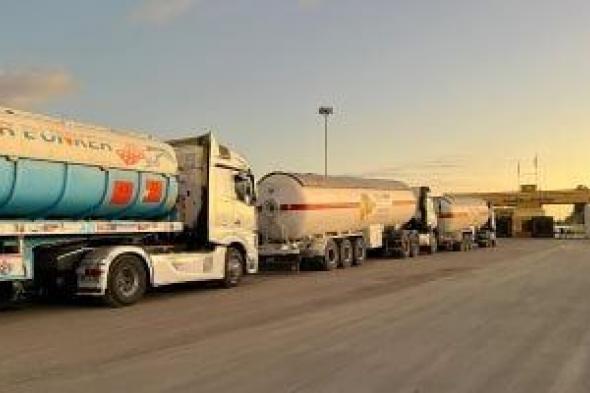 إطلاق
      قافلة
      زاد
      العزة
      81
      إلى
      غزة
      بحمولة
      10
      آلاف
      طن
      مساعدات
      و90
      ألف
      قطعة
      ملابس