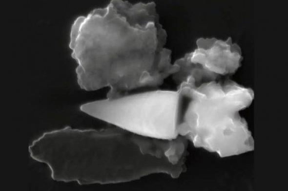 كشف
      علمي
      مذهل..
      حفريات
      تكشف
      استخدام
      “GPS”
      طبيعي
      قبل
      97
      مليون