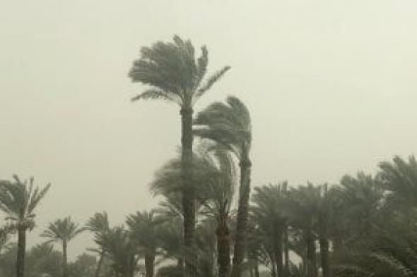 الأرصاد
      تحذر:
      الفرصة
      مهيأة
      لسقوط
      أمطار
      على
      القاهرة
      الكبرى
      خلال
      ساعات