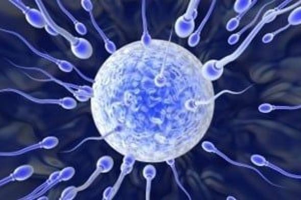 المتبرع
القاتل:
أب
لـ197
طفلاً
يحمل
طفرة
سرطانية
قاتلة
تهز
أوروبا