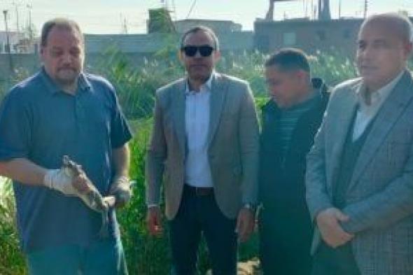 وزارة
      البيئة
      تبحث
      إعادة
      تمساح
      مصرف
      الزوامل
      إلى
      بيئته
      الطبيعية
      فى
      بحيرة
      ناصر