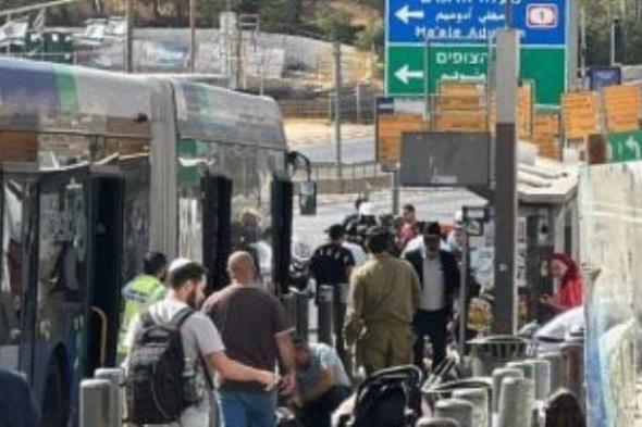 إصابة
      شاب
      فلسطينى
      برصاص
      الاحتلال
      الإسرائيلى
      شمال
      القدس
      المحتلة