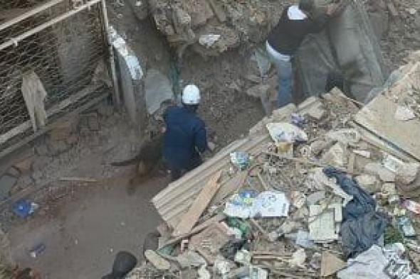 الاستعانة
      بالكلاب
      البوليسية
      للبحث
      عن
      مفقودين
      أسفل
      عقار
      إمبابة
      المنهار..
      صور