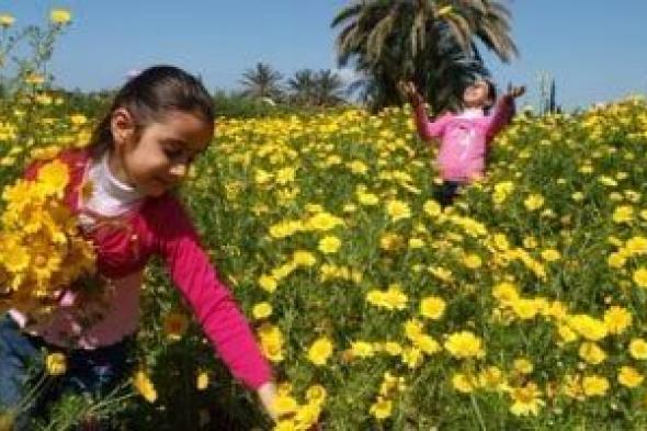 موعد
      فصل
      الربيع
      وبدايات
      وأطوال
      فصول
      السنة
      2026
      باليوم
      والتاريخ