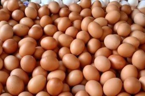 وزارة
      الزراعة:
      حققنا
      اكتفاء
      ذاتي
      بنسبة
      100%
      في
      البيض
      والألبان