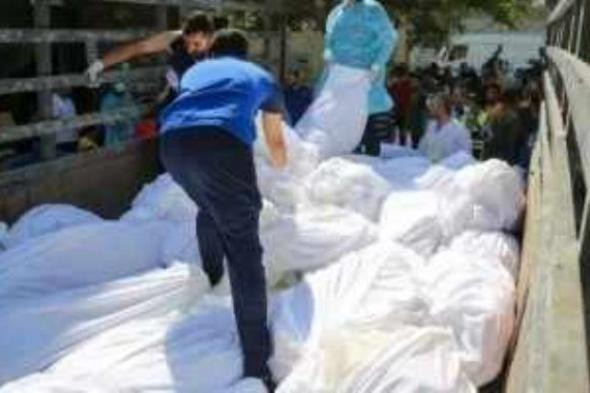 انخفاض
      حاد
      وغير
      مسبوق
      فى
      عدد
      سكان
      قطاع
      غزة
      خلال
      عامين