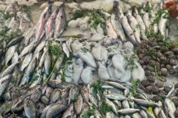 تخفيضات
      على
      الأسماك
      والجمبرى
      فى
      أعياد
      الكريسماس..
      اعرف
      الأسعار