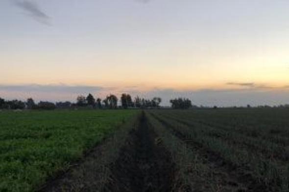 من
      الكوالح
      إلى
      الصوالح..
      دليلك
      الشامل
      لمعرفة
      أيام
      البرد
      فى
      الشتاء