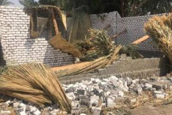 منال
عوض:
خريطة
رقمية
وتنسيق
أمني
لإزالة
التعديات
على
الأراضي
الزراعية