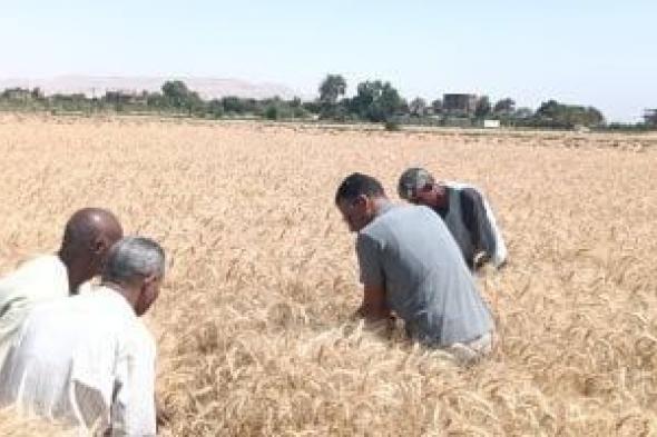 وزير
      الزراعة:
      استراتيجية
      وطنية
      لرفع
      الاكتفاء
      الذاتى
      من
      القمح
      لـ
      70%
      فى
      2030