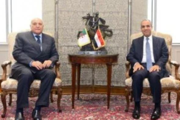 تحرك
      مصرى
      جزائرى
      عاجل
      بشأن
      ليبيا..
      دعم
      للانتخابات
      ورفض
      التدخلات
      الخارجية