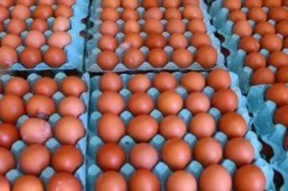 طرح
      كميات
      كبيرة
      من
      البيض
      والدواجن
      بالأسواق..
      صور