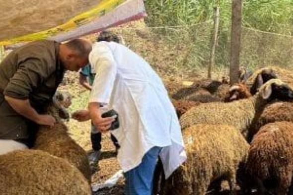 الإفتاء:
      تجنب
      ذبح
      الأضحية
      أمام
      الحيوانات
      الأخرى
      حتى
      لا
      تصاب
      بالخوف
      والتوتر