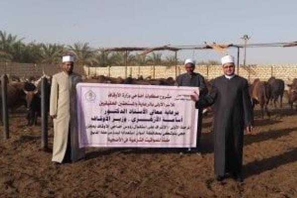 الأوقاف
      تتابع
      تجهيز
      الأضاحى
      بمجازر
      أبو
      سمبل
      استعدادًا
      لعيد
      الأضحى..
      صور