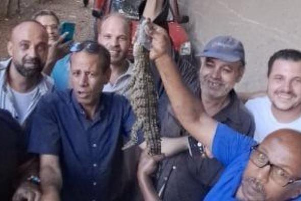 العثور
      على
      تمساح
      شبرامنت
      بالجيزة
      بعد
      تصفية
      مصرف
      الجنينة
      من
      المياه..
      صور