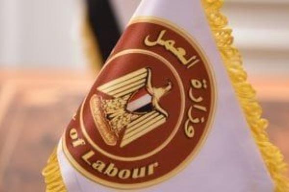 وزارة العمل توفر 845 وظيفة للجنسين بقطاع الأمن برواتب تصل لـ17 ألف جنيه
