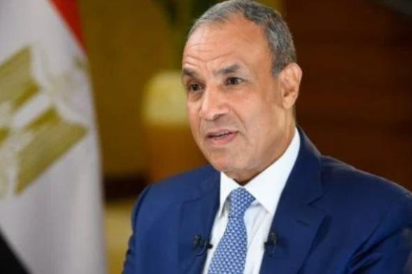 وزير الخارجية: مصر تقف ضد مخطط التهجير فى غزة بالتنسيق مع الدول العربية